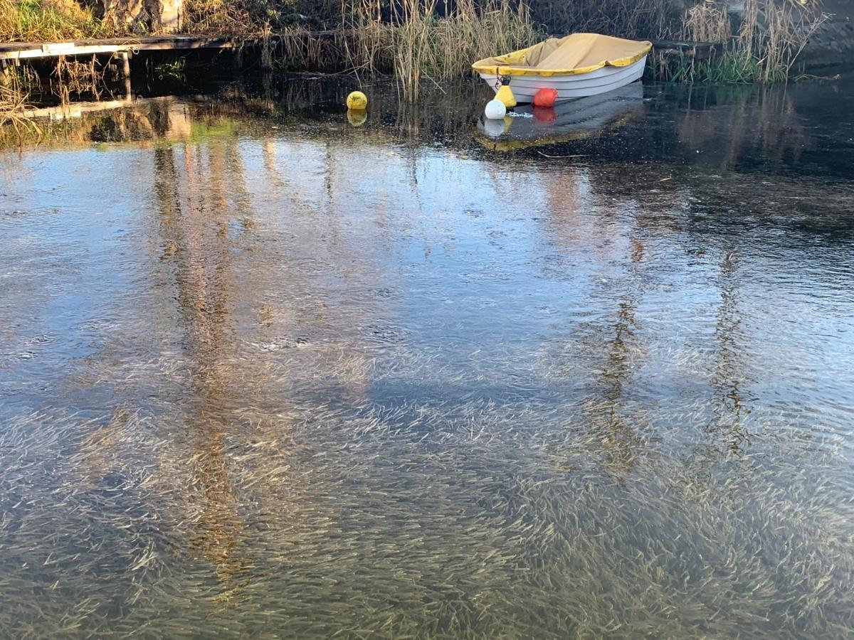 TópART Apartman I Balatonfenyves Bagian luar foto