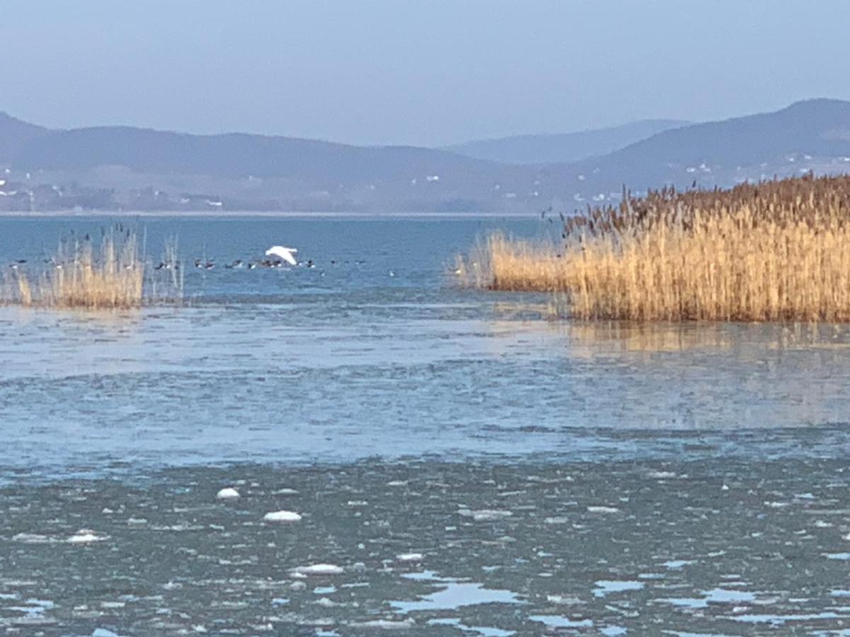 TópART Apartman I Balatonfenyves Bagian luar foto