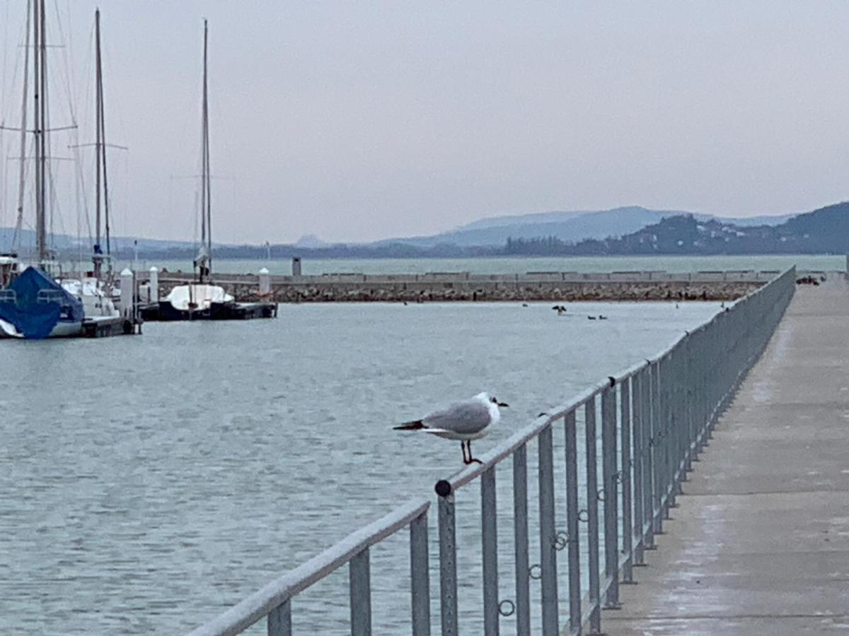 TópART Apartman I Balatonfenyves Bagian luar foto