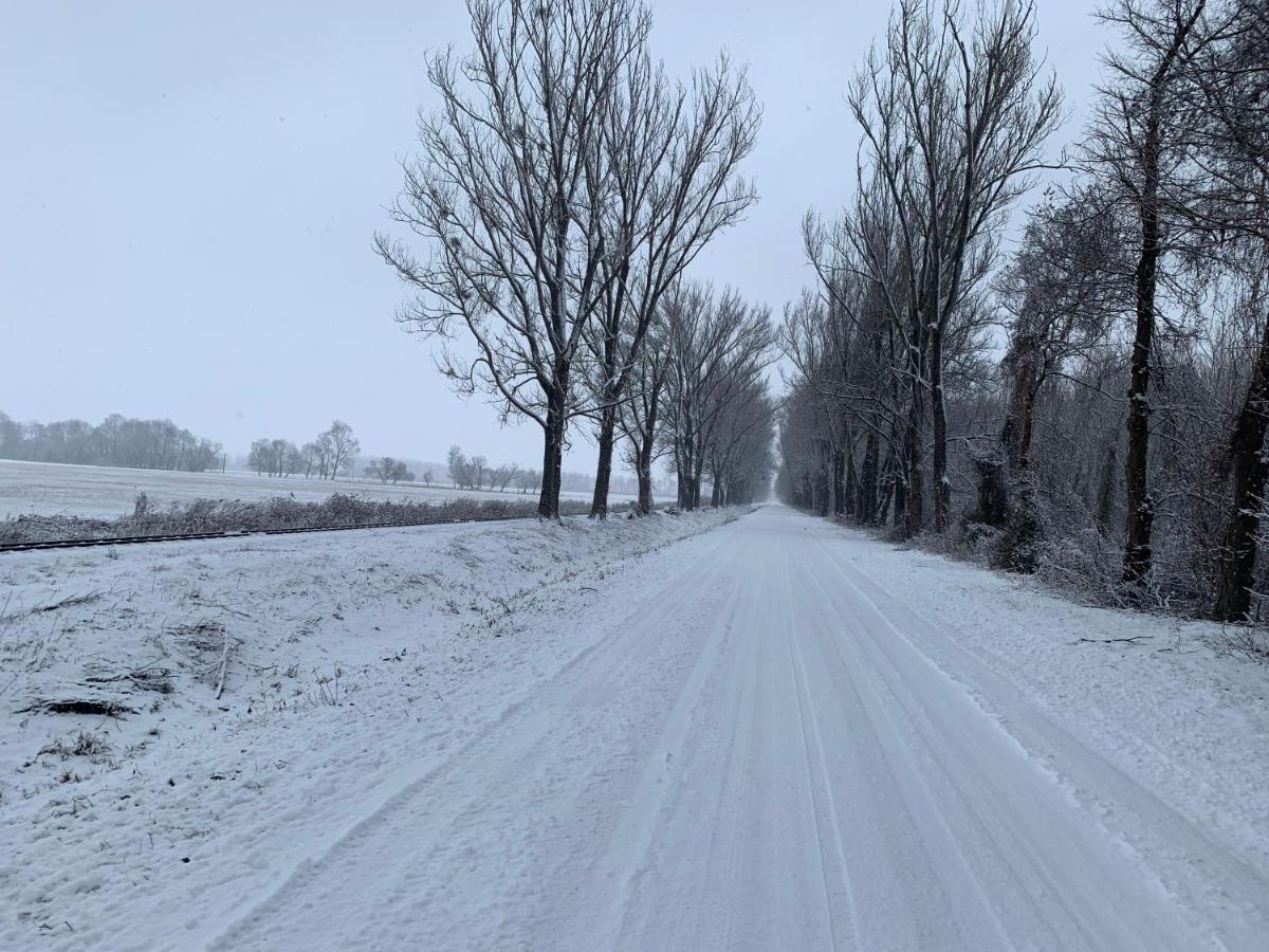 TópART Apartman I Balatonfenyves Bagian luar foto