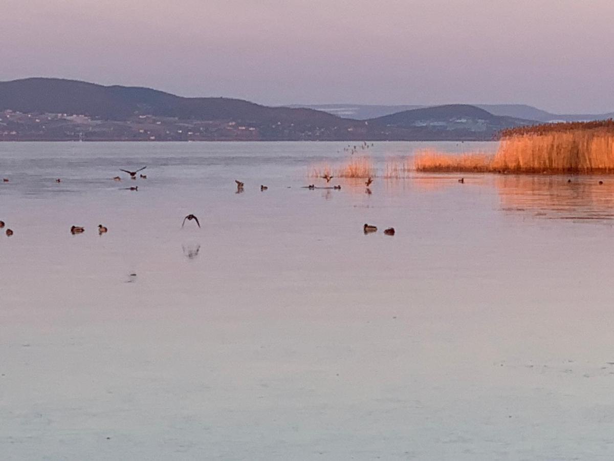 TópART Apartman I Balatonfenyves Bagian luar foto