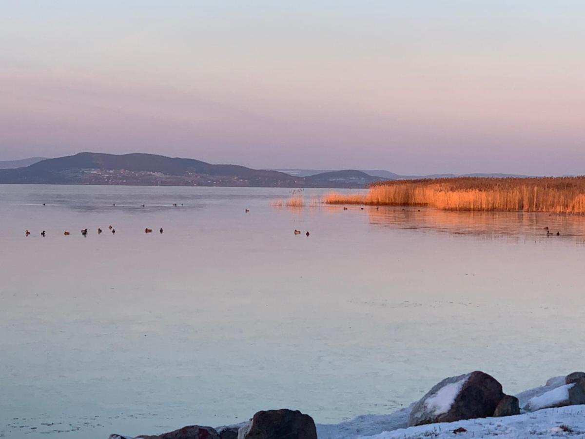 TópART Apartman I Balatonfenyves Bagian luar foto