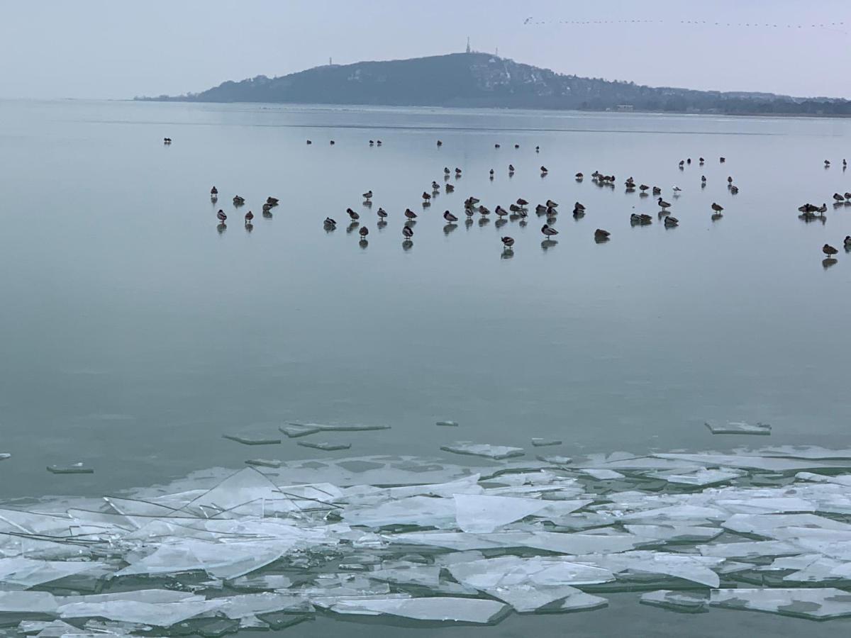 TópART Apartman I Balatonfenyves Bagian luar foto
